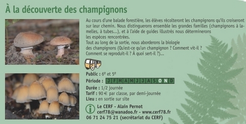 2-pnr-champignons